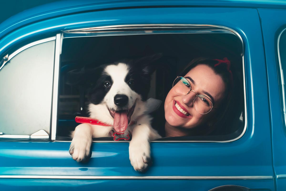 LambertMovingPets(1200px) Dog riding in car